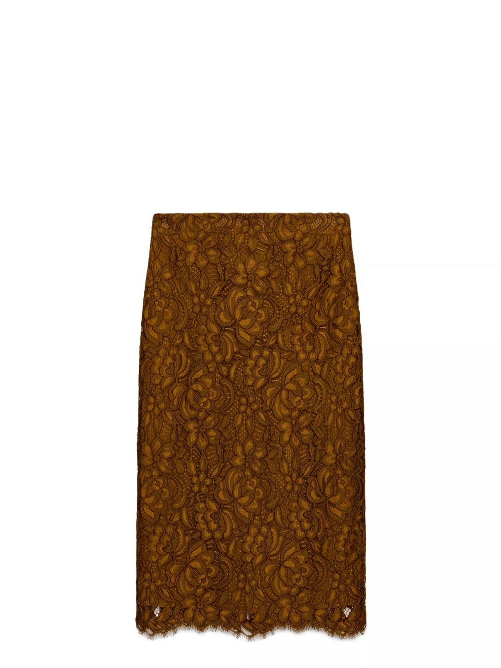 Zara Lace Midi Mustard/Brown Pencil Skirt Collection Limited Esition